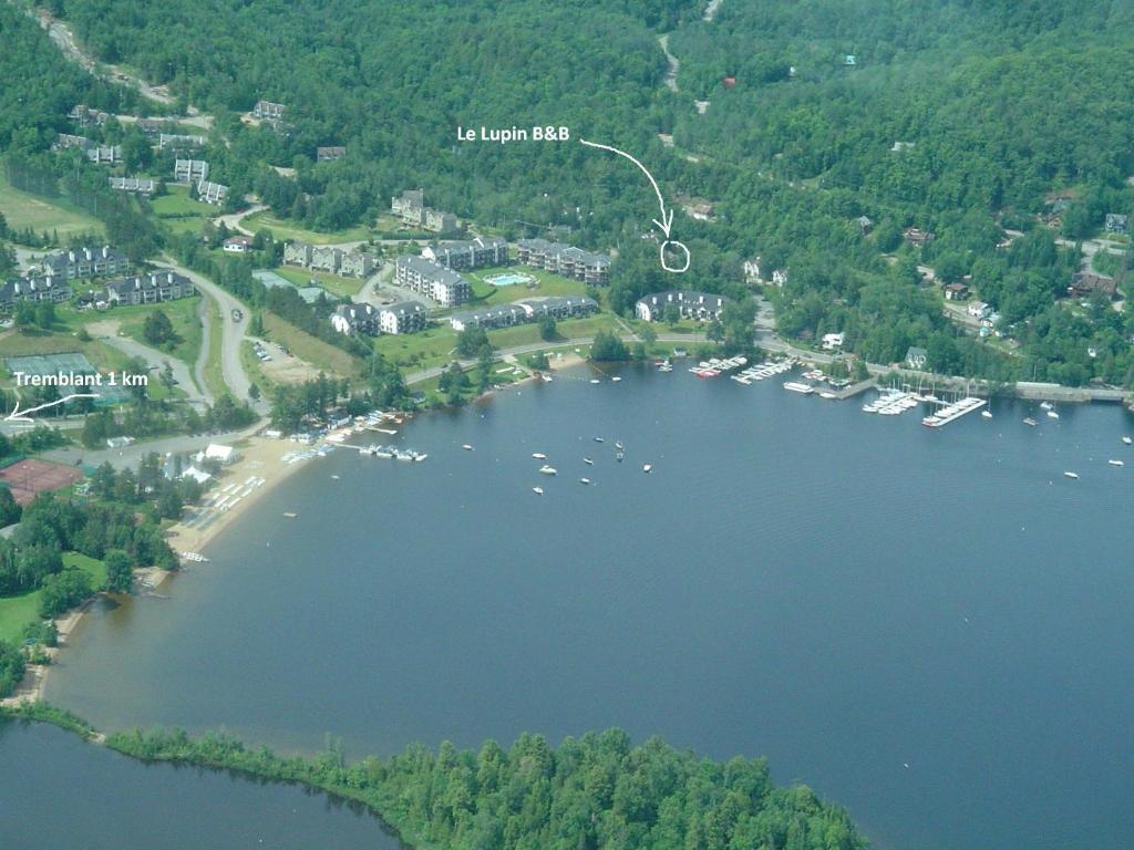 Auberge Le Lupin-Self Check-In Mont-Tremblant Exterior foto